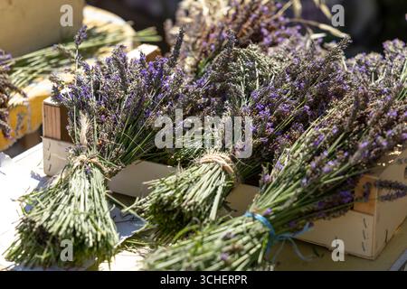 Mazzi di lavanda appena raccolti pronti per la vendita in un mercato locale a Nyons, Francia Foto Stock