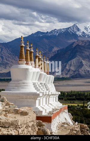 Molti buddisti stupa bianchi e Himalaya montagne sullo sfondo vicino al palazzo di Shey in Ladakh, India. Close up. Un famoso tempio tibetano in Ladakh, ho Foto Stock