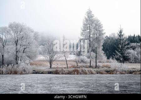 Alberi e campi ricoperti di gelo abbracciano un tranquillo lago ghiacciato sotto una leggera nebbia nel periodo natalizio Foto Stock