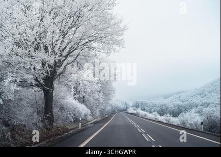 Una strada a due corsie si snoda attraverso un magico paesaggio invernale bianco, con alberi e campi innevati su entrambi i lati Foto Stock