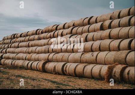 Una piramide di fieno ben impilata dimostra ordine e precisione, rendendola ideale per il marketing agricolo, la grafica del raccolto o lo sfondo testurizzato del Web Foto Stock