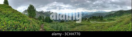 Ampio paesaggio panoramico che mostra un paesaggio alpino verdeggiante con erba alta, alberi e vette lontane sotto un suggestivo cielo nuvoloso. Foto Stock