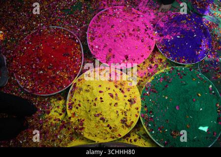 I vivaci colori di Holi a Vrindavan, Mathura, India. Foto Stock