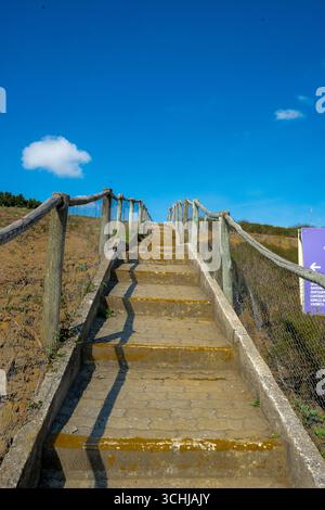 Vista del Lavandario a Cunha, San Paolo, Brasile, con vivaci campi di lavanda sotto un cielo limpido, una popolare attrazione turistica che offre panorami spettacolari Foto Stock