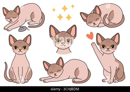 Una collezione di carini cartoni animati di gatti siamesi in varie pose. I gatti hanno pelliccia marrone chiaro, punti scuri e occhi espressivi. Mostrano giocose e. Illustrazione Vettoriale