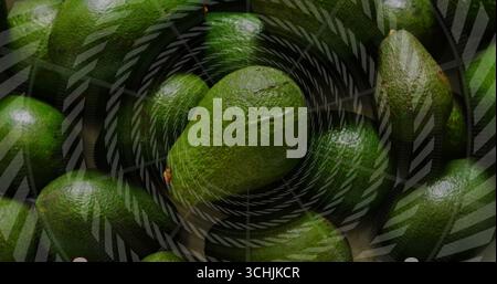Gruppo di avocado interi che riempiono la vista ravvicinata, mostrando una sovrapposizione a strisce concentriche traslucide Foto Stock