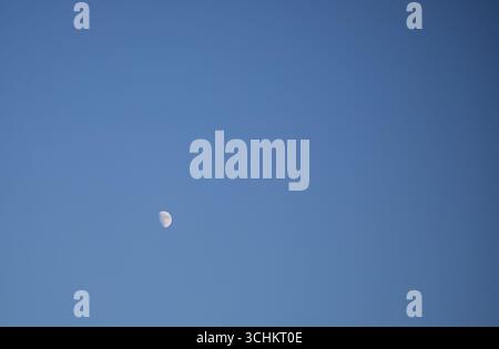 Luna biancastra visibile in una giornata estiva nell'emisfero settentrionale! Foto Stock