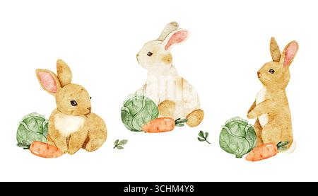 Set di clipart della fattoria acquerelli con tre simpatici coniglietti con cavolo e carote. Illustrazione isolata per biglietti di Pasqua, articoli per bambini, stampe per vivaio Foto Stock