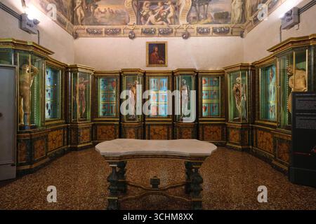 Casi di corpo intero, anatomico, scheletrico, muscolo, modelli. Alla curiosità, museo della scienza, Museo di Palazzo Poggi. A Bologna, Italia. Foto Stock