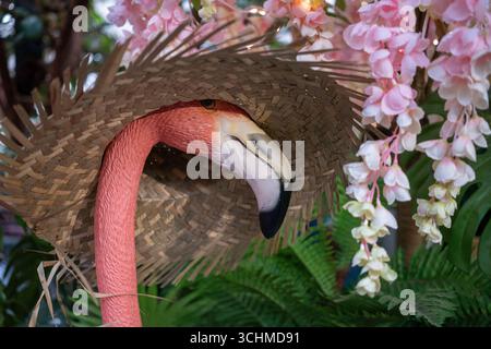 Fenicottero in un cappello di paglia, con fiori sullo sfondo Foto Stock