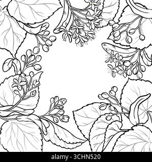 Sezione Linden con profilato floreale Illustrazione Vettoriale