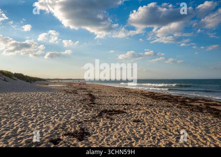 Drudge Bay, Northumberland con la bassa marea. Foto Stock