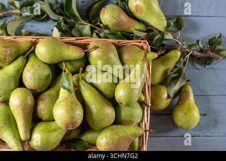 Pere per conferenze di nuova stagione Foto Stock