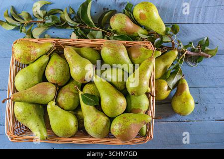Pere per conferenze di nuova stagione Foto Stock