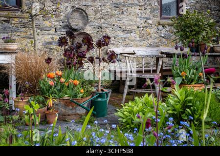 Piccolo cottage con giardino e patio con pietre miliari. Raccolta di piante in vaso primaverili e di inizio estate in contenitori. Foto Stock