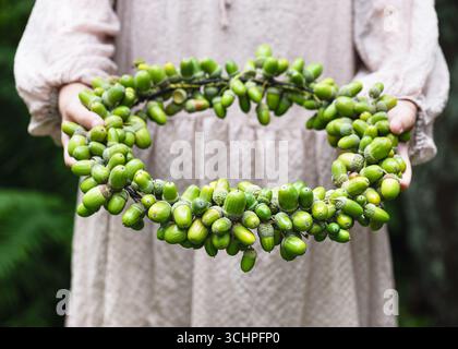 Le mani di una ragazza che regge una corona fatta a mano ispirata alla natura, realizzata con ghiande verdi fresche, catturano la bellezza di un design semplice e rustico. Foto Stock