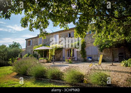 Villa Patio Saint Martin de Crau Francia del XVII secolo // SAINT-MARTIN-DE-CRAU, Francia — Un patio in ghiaia con mobili da esterno e un grande ombrello si trova di fronte a una villa del XVII secolo in Provence les Alpilles. L'edificio in pietra presenta persiane viola sulle sue finestre e porte. Lussureggiante vegetazione, che include cespugli e alberi di lavanda, circonda l'albergo, con un prato in primo piano. L'architettura della villa riflette lo stile tradizionale della regione della Provenza. Foto Stock