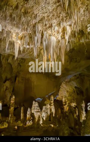 Stalattiti, stalagmiti e bibite nella Big Room del Carlsbad Caverns National Park, New Mexico. Foto Stock