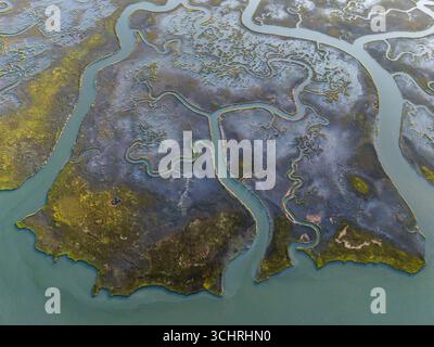 I fiumi dell'estuario che scorrono verso la baia - prospettiva aerea - ampi fiumi di marea e ruscelli si snodano attraverso ampie paludi salate. Foto Stock