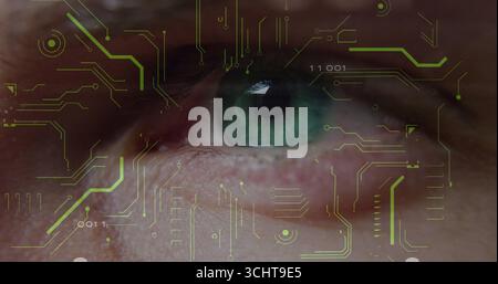 Visualizzazione dell'iride umano che mostra i dati binari nell'interfaccia virtuale, con grafica della scheda a circuiti stampati al neon Foto Stock
