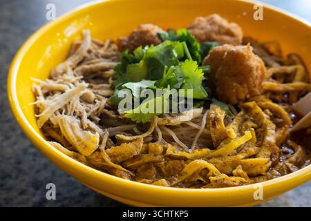 Zuppa di noodle Sarawak Laksa, un famoso piatto del Borneo Foto Stock