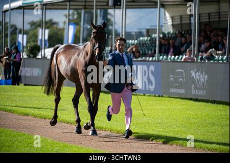 Stamford, Regno Unito. 3 settembre 2025. Harry Meade e et Hop Du Matz che rappresentano la Gran Bretagna durante il primo Horse Inspection al Defender Burghley Horse Trials del 2025 tenutosi nei terreni di Burghley House a Stamford, Lincolnshire, Inghilterra, Regno Unito. Credito: Jonathan Clarke/Alamy Live News Foto Stock