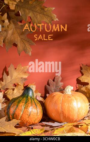 Promozione stagionale autunnale con zucche e foglie secche colorate su un caldo sfondo arancione. Modello per la vendita stagionale Foto Stock