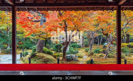 Vista panoramica del tempio di Enko-ji con splendida vegetazione in autunno a Kyoto, Giappone Foto Stock