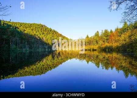Paesaggio presso lo stagno Seehofweiher nella valle di Porzbach. Acque lungo il torrente Porzbach nella foresta. Natura autunnale al lago balneabile. Foto Stock