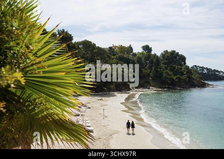 Spiaggia, Plage du Canadel, Rayol, Var, Costa Azzurra, Provence-Alpes-Cote d'Azur, Costa Azzurra, Francia Foto Stock