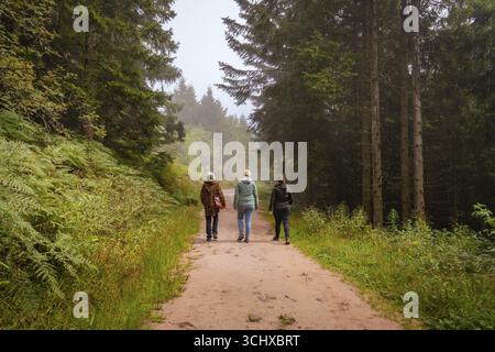Tre persone camminano su un sentiero nella foresta tra alberi alti in un'atmosfera rilassata, Mummelsee, Seebach, Ortenau District, Foresta Nera, Germania Foto Stock