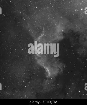 Wimbledon, Londra, Regno Unito. 3 settembre 2025. Il muro di Cygnus nella Nebulosa del Nord America, una fotografia dettagliata ad alta risoluzione che utilizza un filtro a banda stretta alfa Hydrogen per migliorare i dettagli nella nube di gas a forma di stella. Crediti: Malcolm Park/Alamy Foto Stock