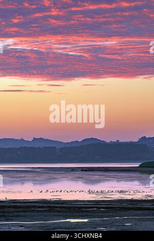 Lago Chew Valley all'alba del 2025 agosto con livelli d'acqua molto bassi con gabbiani e uccelli da guado lontani nel lago al margine delle acque Foto Stock