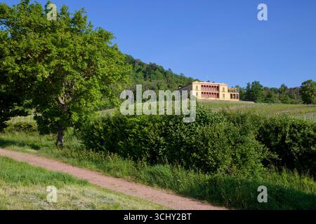 Villa Ludwigshöhe e vigneto vicino a Rhodt unter Rietburg (parte di Edenkoben) nel Palatinato, strada del vino meridionale, Renania-Palatinato, Germania Foto Stock