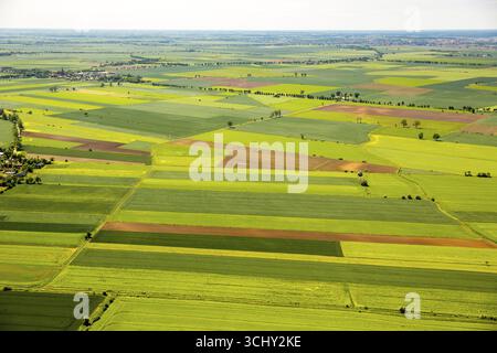Agricoltura, giacimenti ad est di Danzica, campitura, PrAeâ„¢gowo Auaa'awskie, costa del Mar Baltico, pomorskie, Polonia, Pregowo Zulawskie, PL, Europa, aeria Foto Stock