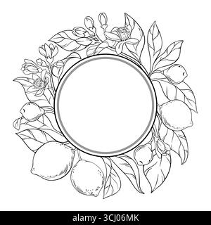 Ramificato di lime con contorno di frutta, telaio rotondo Illustrazione Vettoriale