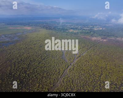 Vista aerea del paesaggio verde delle paludi Foto Stock