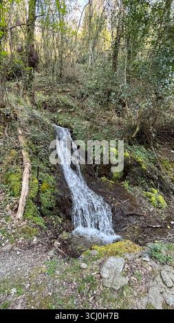 Paesaggio intorno al villaggio di Trascastro nella valle di Leitariegos nelle Asturie, Spagna Foto Stock