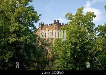 L'antica torre del castello si erge sopra il suo baldacchino di alberi circostante, il castello di Durham, in Inghilterra. Foto Stock