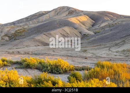 Una magnifica vista delle montagne e delle colline ondulate all'interno dell'area ricreativa nazionale del Bighorn Canyon Foto Stock