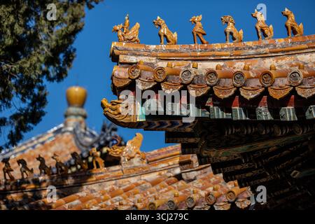All'interno del Museo del Palazzo della Citta' Proibita di Pechino, Cina. Foto Stock