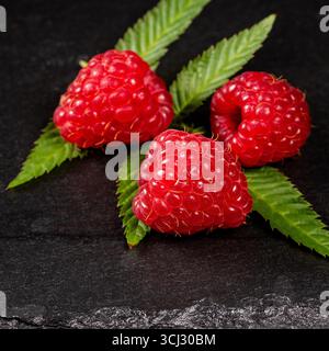 Questa immagine ravvicinata presenta tre frutti di lampone luminosi appoggiati su uno sfondo di pietra nera testurizzata, che evidenziano i colori vivaci e delicati Foto Stock