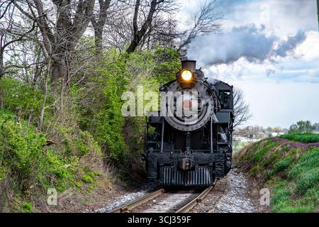 Una locomotiva a vapore d'epoca si muove lungo i binari del treno circondata da vegetazione vibrante e fiori in fiore. Foto Stock