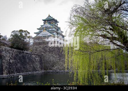 Castello di Osaka con Willow Tree e Stone Moat in Giappone. Vista panoramica del Castello di Osaka incorniciato da salici verdi e fossato. Foto Stock