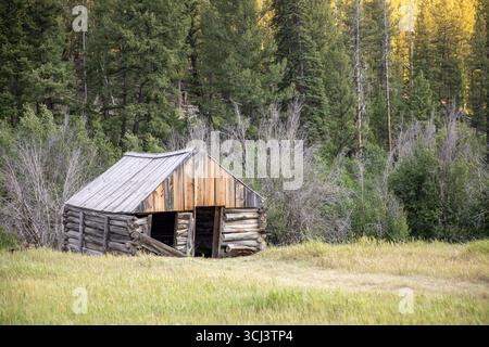 Una piccola cabina nel bosco con un campo erboso sullo sfondo Foto Stock