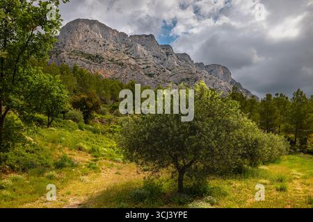 MONT SAINTE-VICTOIRE AIX-EN-PROVENCE PROVENCE FRANCIA Foto Stock