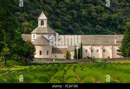 SENANQUE ABBAZIA CISTERCENSE (1148) PROVENZA FRANCIA Foto Stock