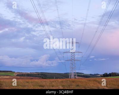 Lauder, Regno Unito. 4 settembre 2025. 4 settembre 2025 immagini d'archivio di tralicci elettrici al tramonto negli Scottish Borders. Credito PIC: phil wilkinson/Alamy Live News Foto Stock