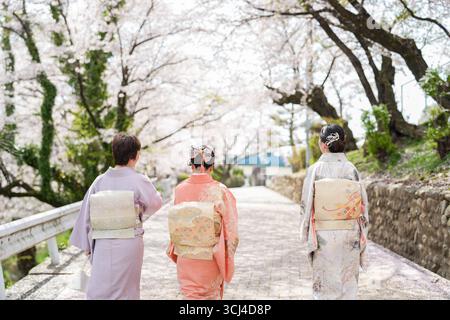 Tre donne che indossano kimono camminano lungo un sentiero. Le donne sono vestite con abiti tradizionali giapponesi e camminano insieme. La scena è pacifica Foto Stock