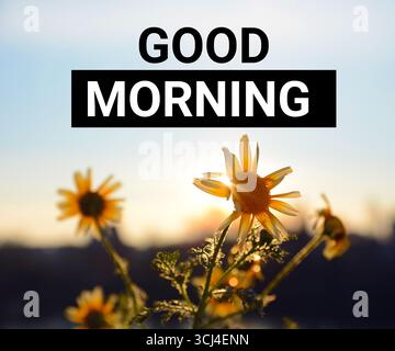 Buon giorno. Citazione motivante ispiratrice su uno sfondo all'alba con fiori gialli e sole. Foto Stock